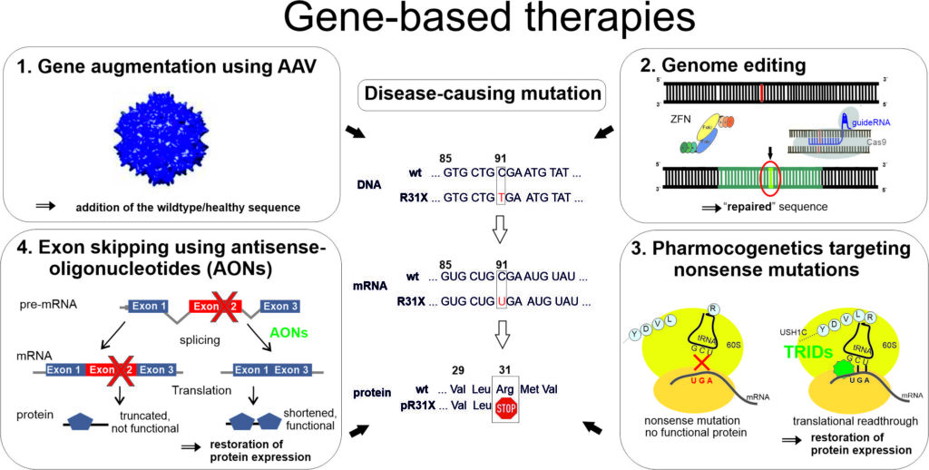 figure gene based therapies