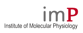 Institute of Molecular Physiology