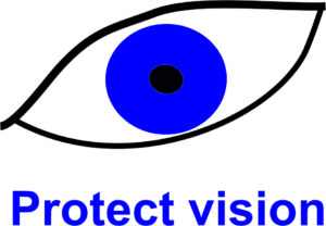 Protect Vision Logo